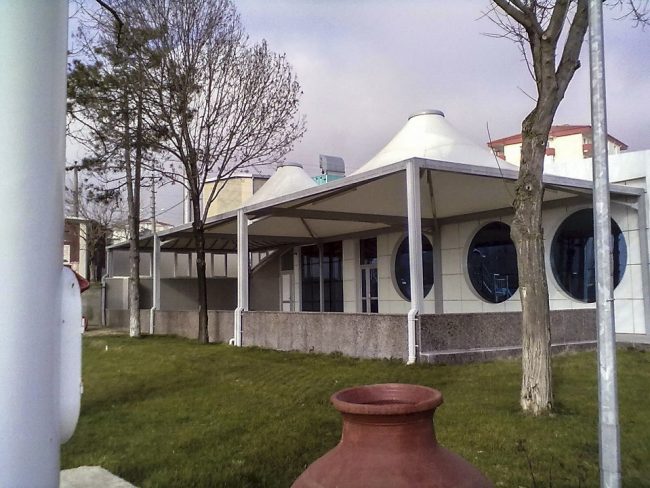 Asma Germe Sistemleri (1)