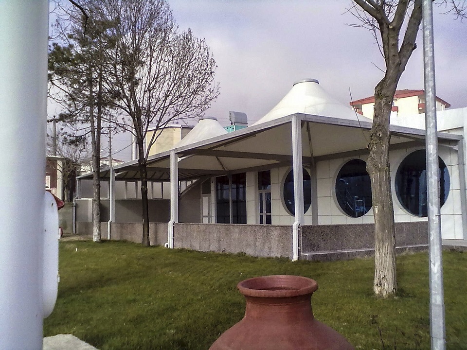 Asma Germe Sistemleri (1)