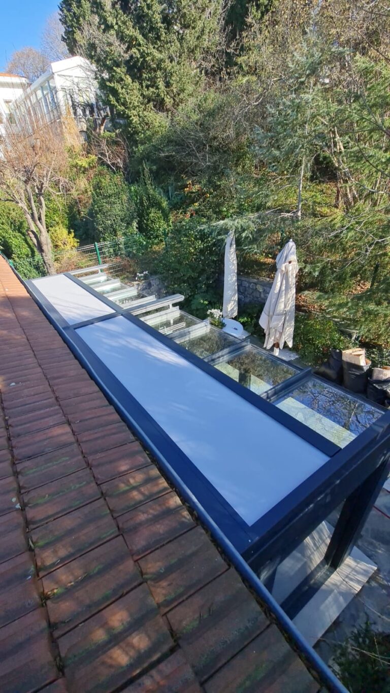 Winter Garden